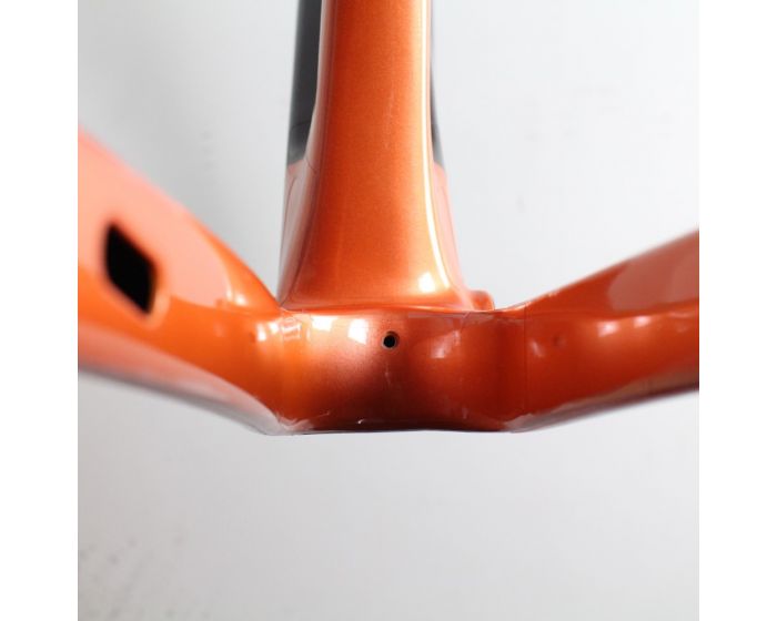 Giant Revolt X Carbon 2023 | Frame Protection Kit