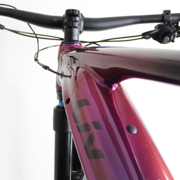 Liv Intrigue X E Pro 2021 | Frame Protection Kit