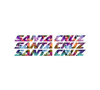 Santa Cruz Bullit 2021 Decals - Downtube ONLY