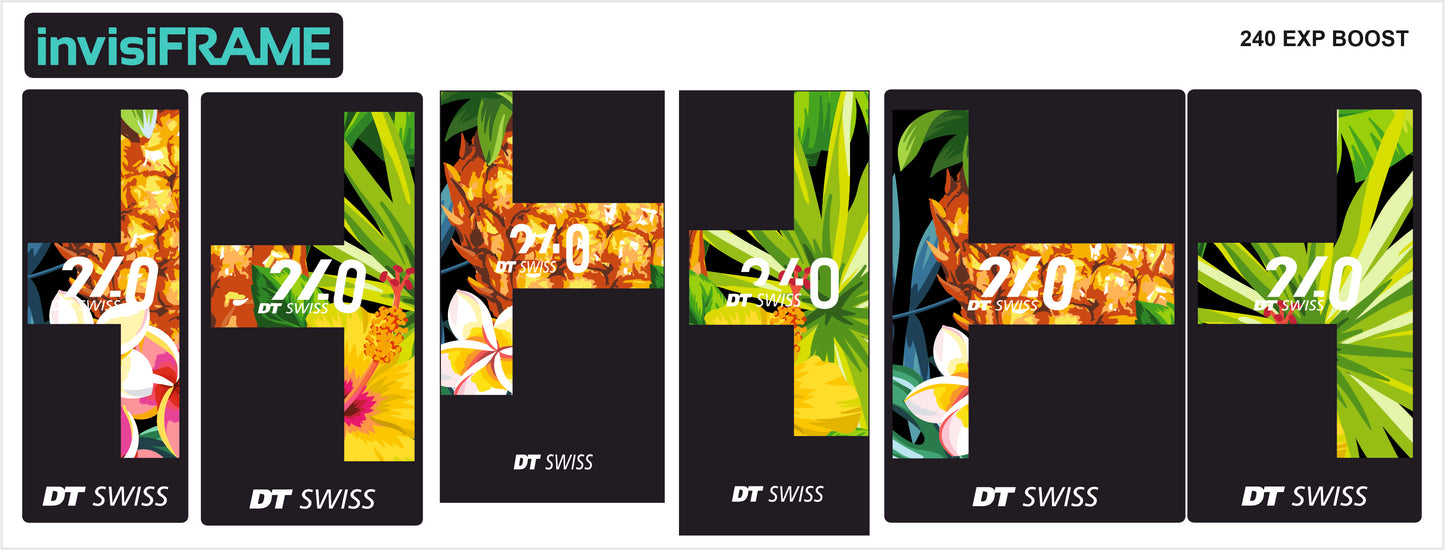 DT Swiss 240 EXP Boost Hub Decals