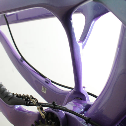 Liv Intrigue X Advanced 2024/25 | Frame Protection Kit