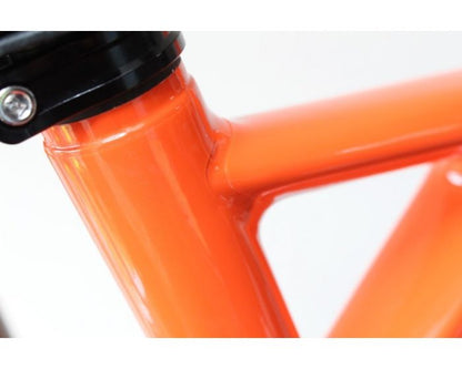 Orbea Occam TR 29 Carbon 2016/17 | Frame Protection Kit