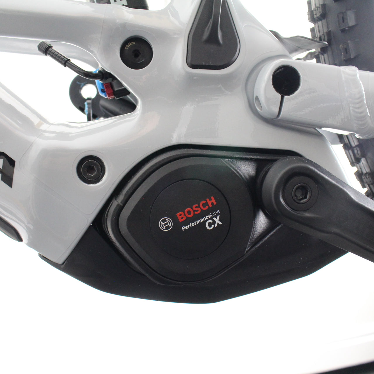 Orbea Wild Aluminium 2025/26 | Frame Protection Kit