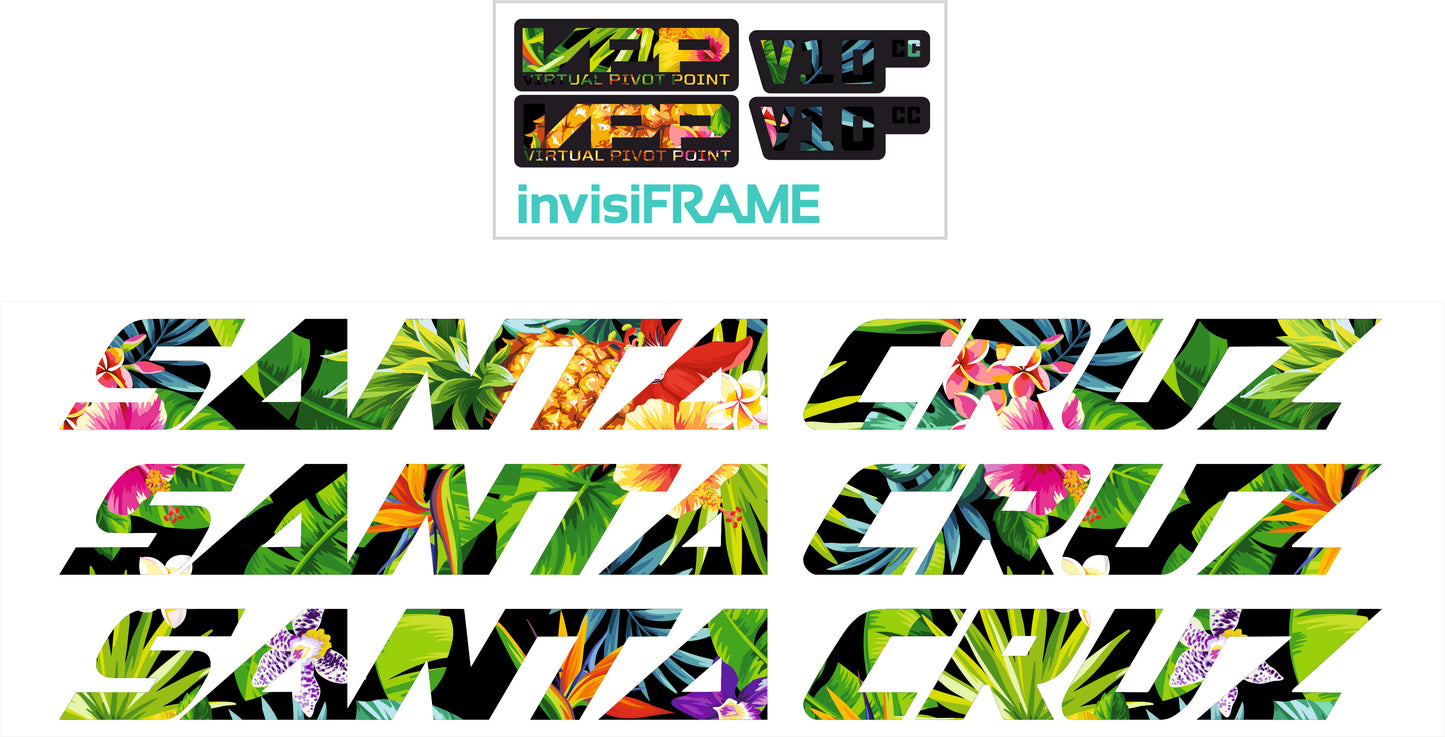 Santa Cruz V10 CC 2024 Decals