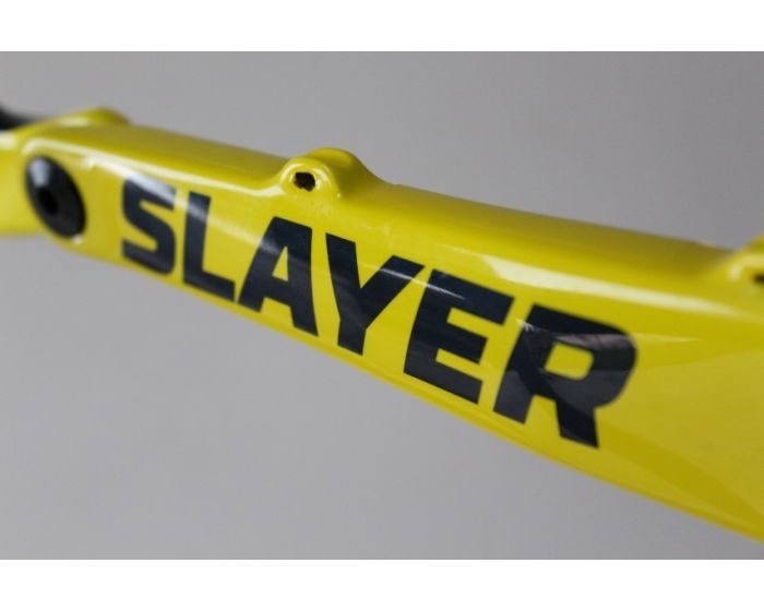 Rocky Mountain Slayer 790 MSL 2017 | Frame Protection Kit