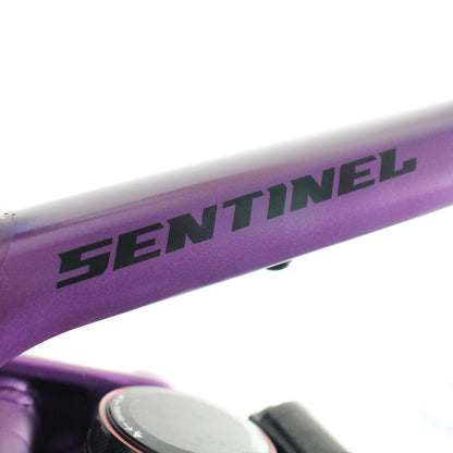 Transition Sentinel Aluminium 2025 | Frame Protection Kit