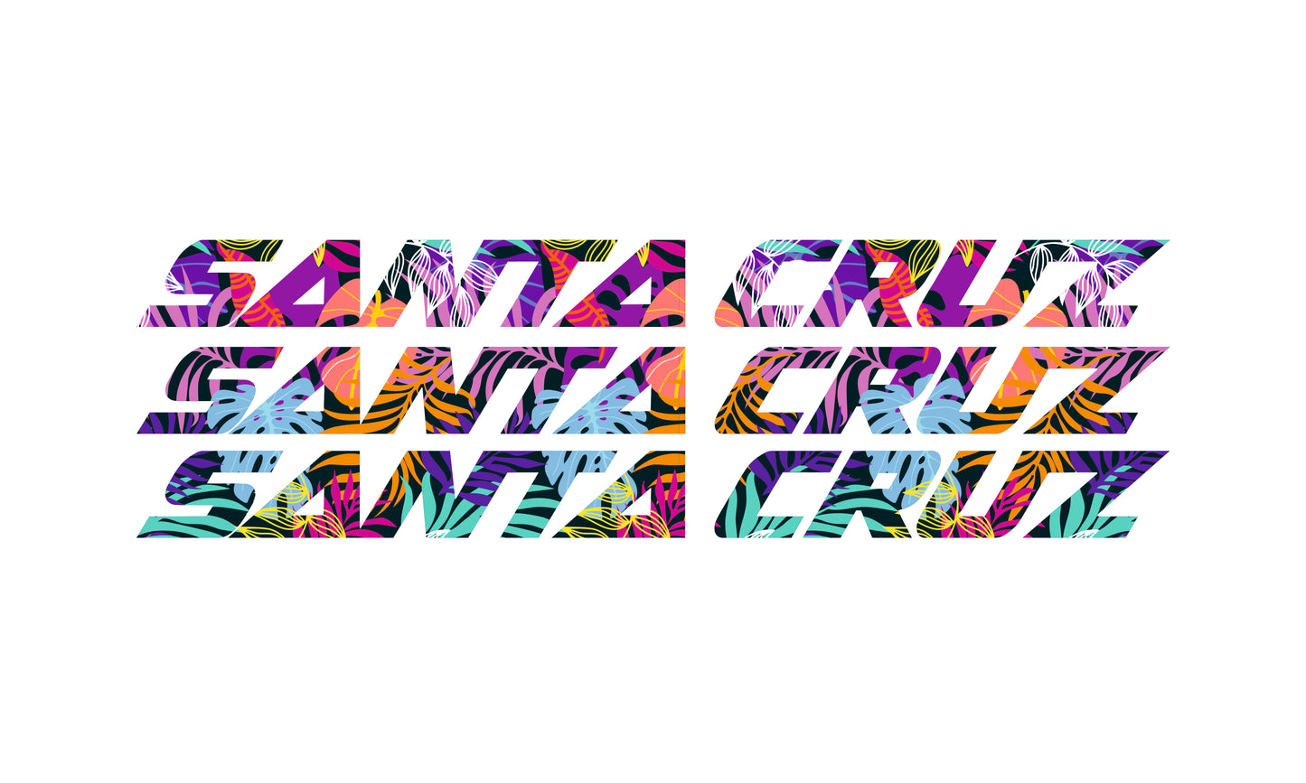 Santa Cruz Bullit 2026 Decals - Downtube ONLY