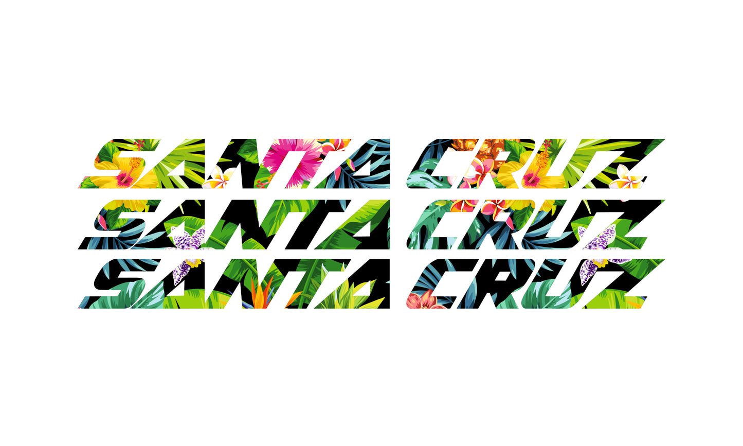 Santa Cruz Bullit 2026 Decals - Downtube ONLY