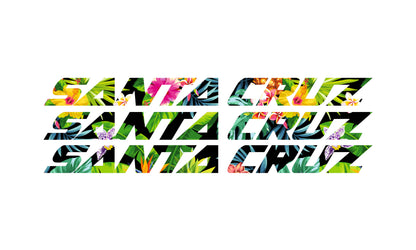 Santa Cruz Bullit 2026 Decals - Downtube ONLY