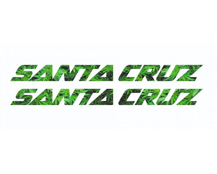 Santa Cruz Bullit 2021 Decals - Downtube ONLY