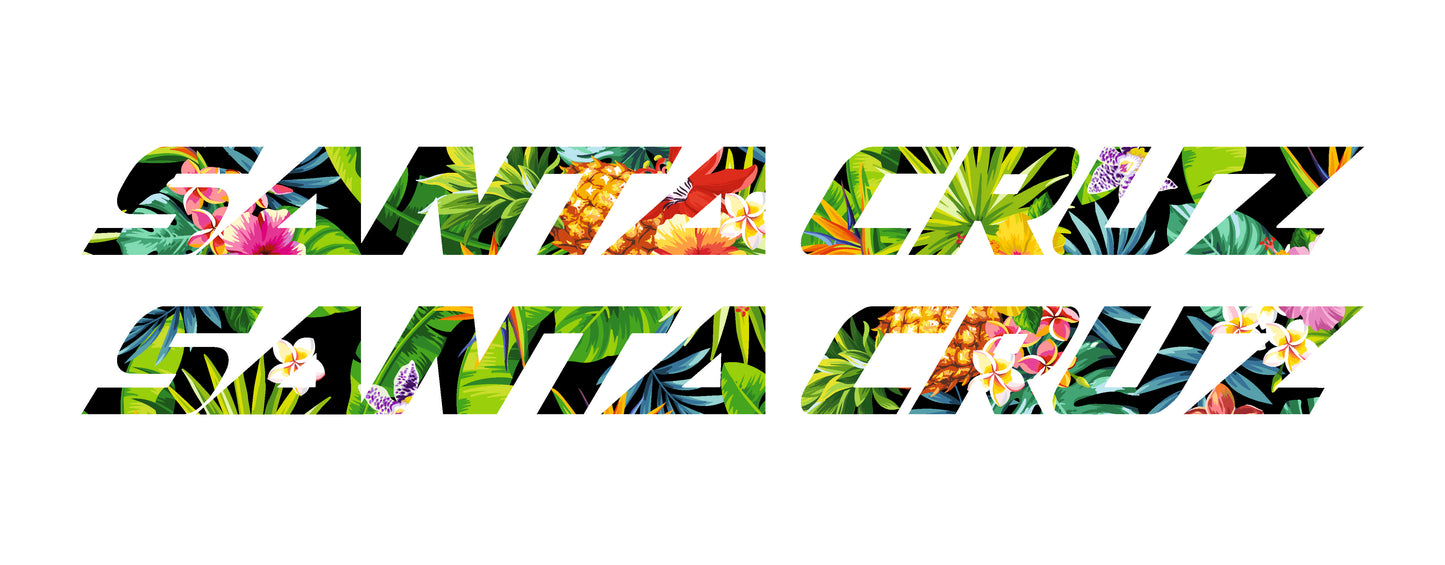 Santa Cruz Bullit 2021 Decals - Downtube ONLY