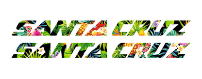 Santa Cruz Bullit 2021 Decals - Downtube ONLY