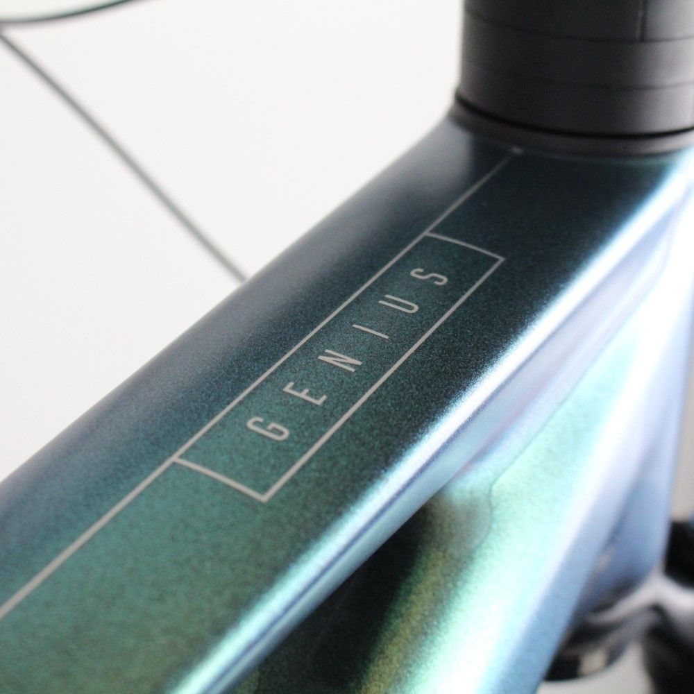 Scott Genius Carbon Front Alu Rear 2023-25 | invisiFRAME Frame ...