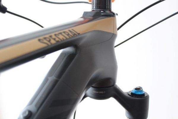 Canyon Spectral CF Full Carbon 2018-20 | Frame Protection Kit