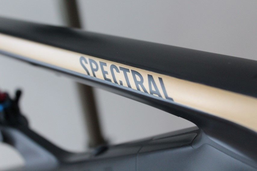 Canyon Spectral CF Full Carbon 2018-20 | Frame Protection Kit