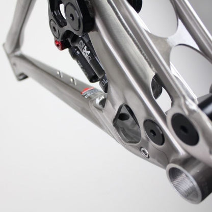 Banshee Prime 2020 | Frame Protection Kit