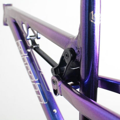 Bird Aeris 9 2023 | Frame Protection Kit