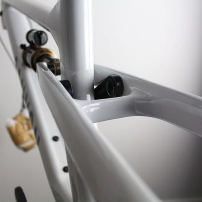 Canyon Spectral 125 29 CF 2022/23 | Frame Protection Kit