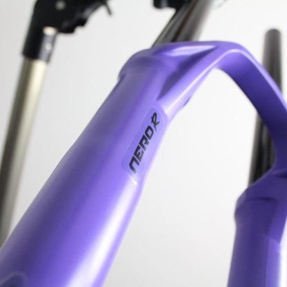 Formula Nero R 2020 | Fork Protection Kit