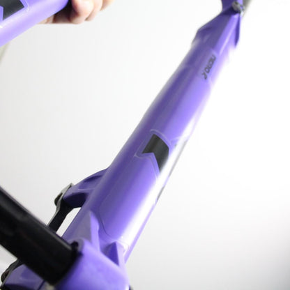 Formula Nero R 2020 | Fork Protection Kit