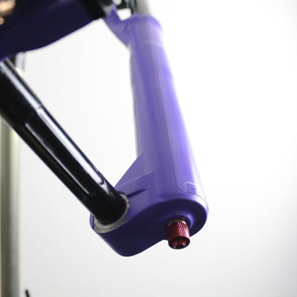 Formula Nero R 2020 | Fork Protection Kit