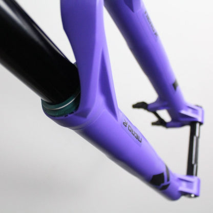 Formula Nero R 2020 | Fork Protection Kit