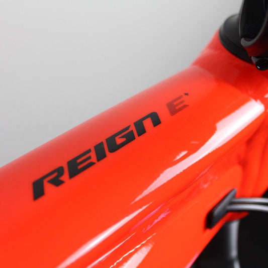 Giant Reign E 2020/21 | Frame Protection Kit