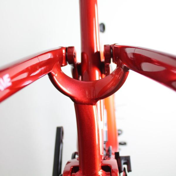 Giant Reign E 2020/21 | Frame Protection Kit