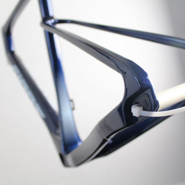 Giant Revolt Carbon 2022/23 | Frame Protection Kit