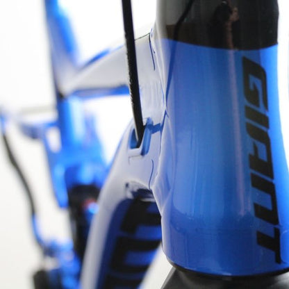 Giant Trance 29 Aluminium 2019-21 | Frame Protection Kit