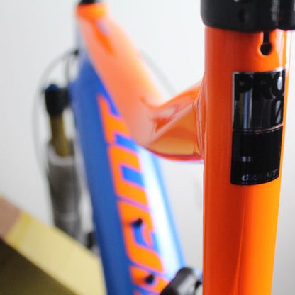 Giant Trance E-Bike Aluminium 2019-21 | Frame Protection Kit