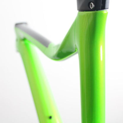 Giant Trance 29 Full Carbon 2019-21 | Frame Protection Kit