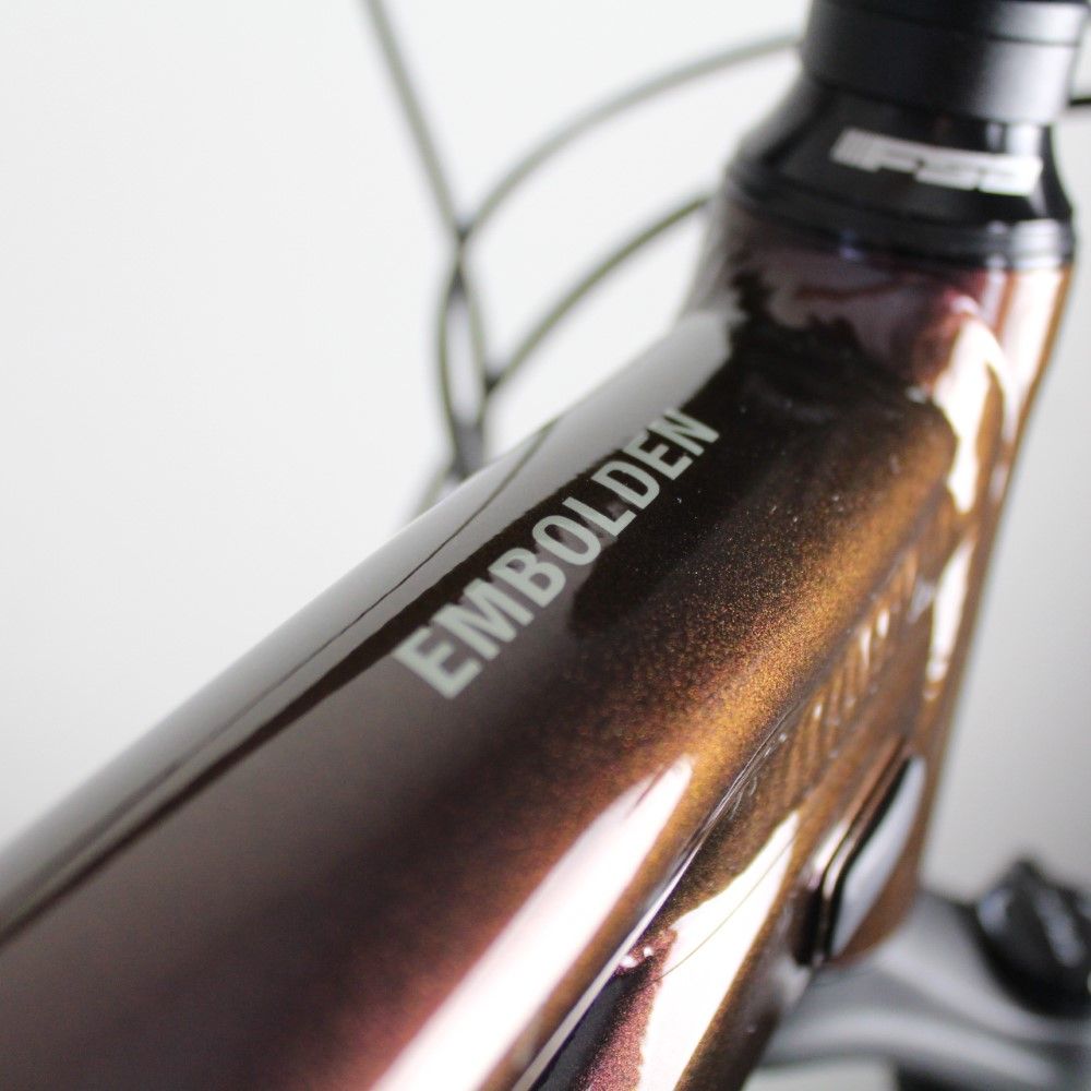 Liv Embolden 2021 | Frame Protection Kit