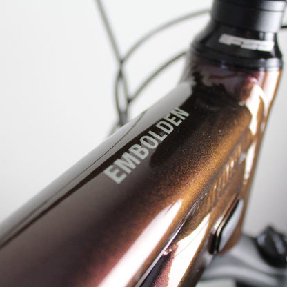 Liv Embolden 2021 | Frame Protection Kit