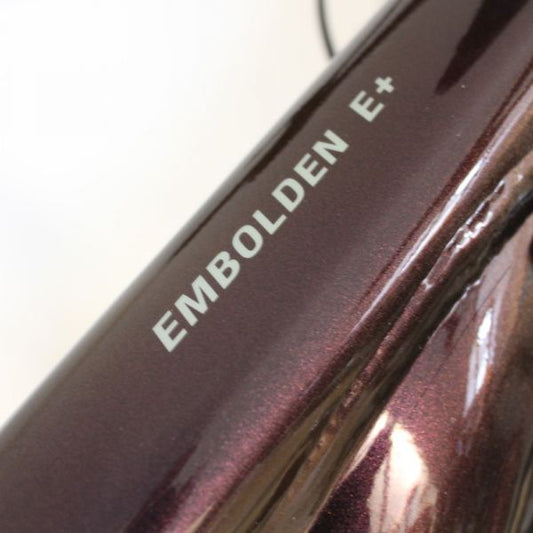 Liv Embolden E+ 2021 | Frame Protection Kit