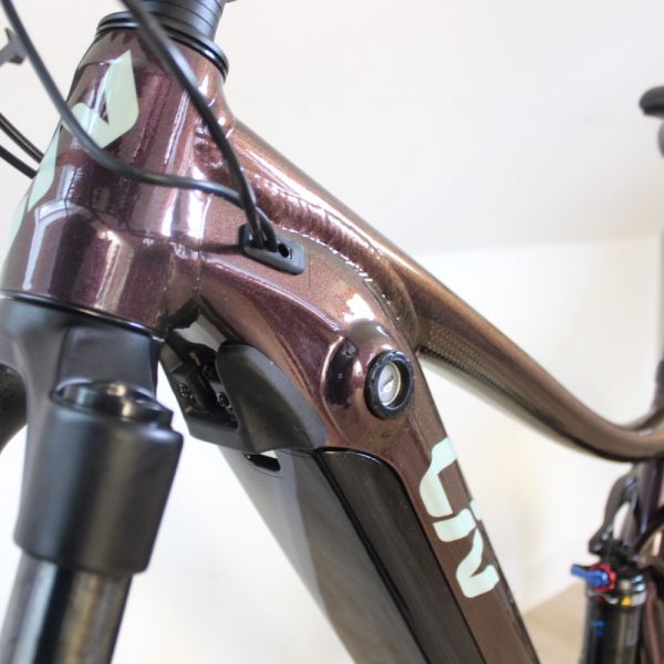 Liv Embolden E+ 2021 | Frame Protection Kit