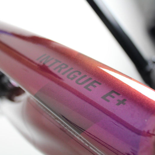 Liv Intrigue X E Pro 2021 | Frame Protection Kit