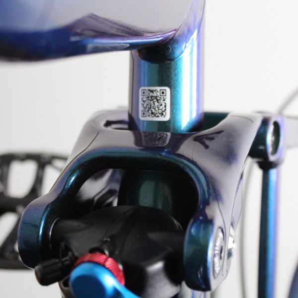 Liv Pique Aluminium 2019 | Frame Protection Kit