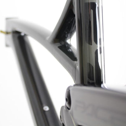 Pace RC295 Carbon 2020 | Frame Protection Kit