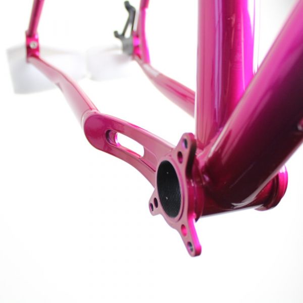 Pipedream Moxie V3 2020 | Frame Protection Kit