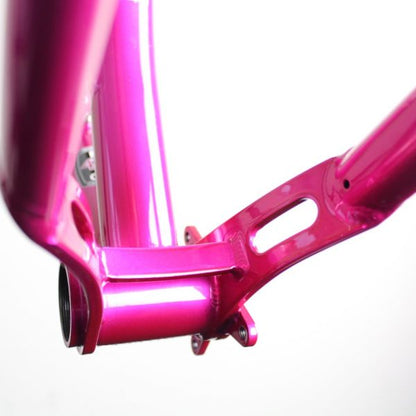 Pipedream Moxie V3 2020 | Frame Protection Kit