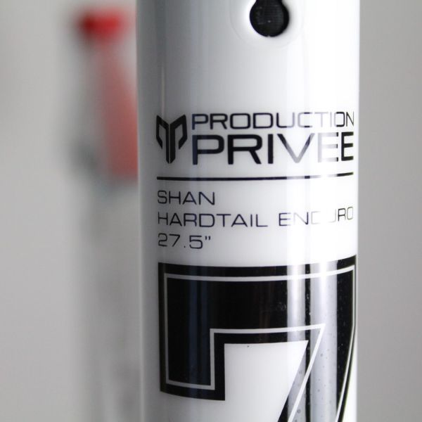 Production Privee Shan 27.5 2019 | Frame Protection Kit