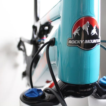Rocky Mountain Altitude Powerplay Aluminium 2019-21 | Frame Protection Kit