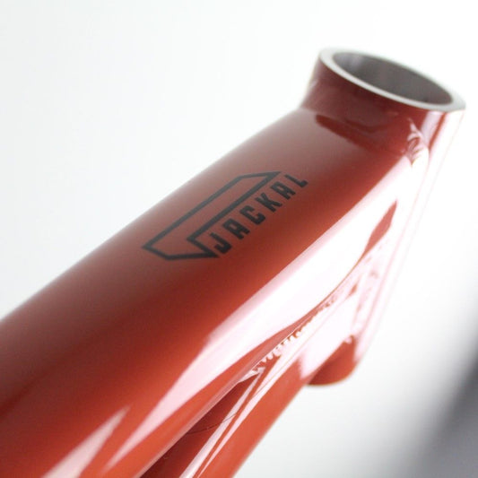 Santa Cruz Jackal Aluminium 2022 | Frame Protection Kit