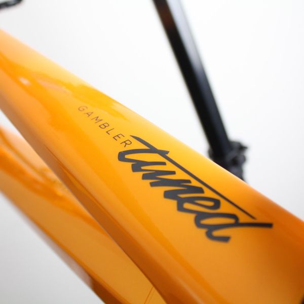 Scott Genius E-Ride Carbon 2020-24 | Frame Protection Kit