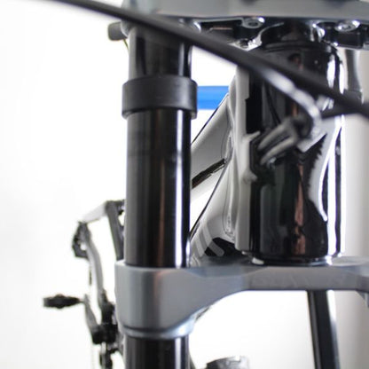 Specialized Demo Aluminium 29/27.5 2021-24 | Frame Protection Kit