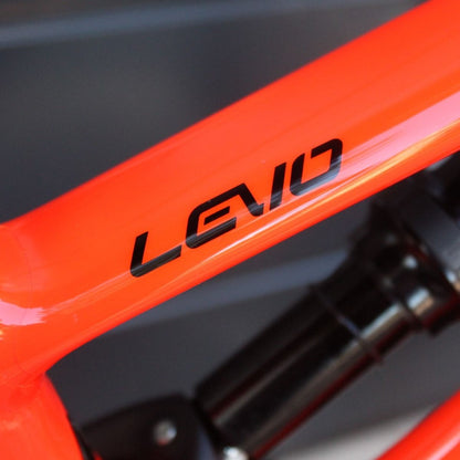 Specialized Levo Expert & Comp Carbon 2019-21 | Frame Protection Kit
