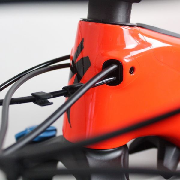 Specialized Levo Expert & Comp Carbon 2019-21 | Frame Protection Kit