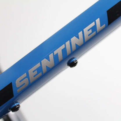 Transition Sentinel Aluminium 2022-24 | Frame Protection Kit