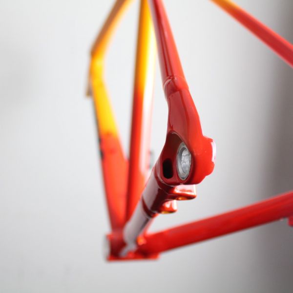 Trek Emonda ALR 2021-23 | Frame Protection Kit